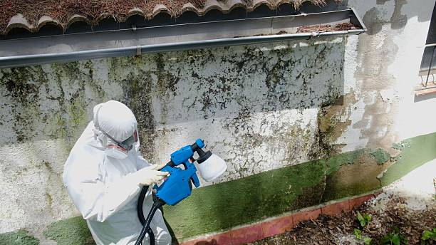 Trusted Commercial Mold Remediation service in Mableton, GA - Cheap Mold Removal